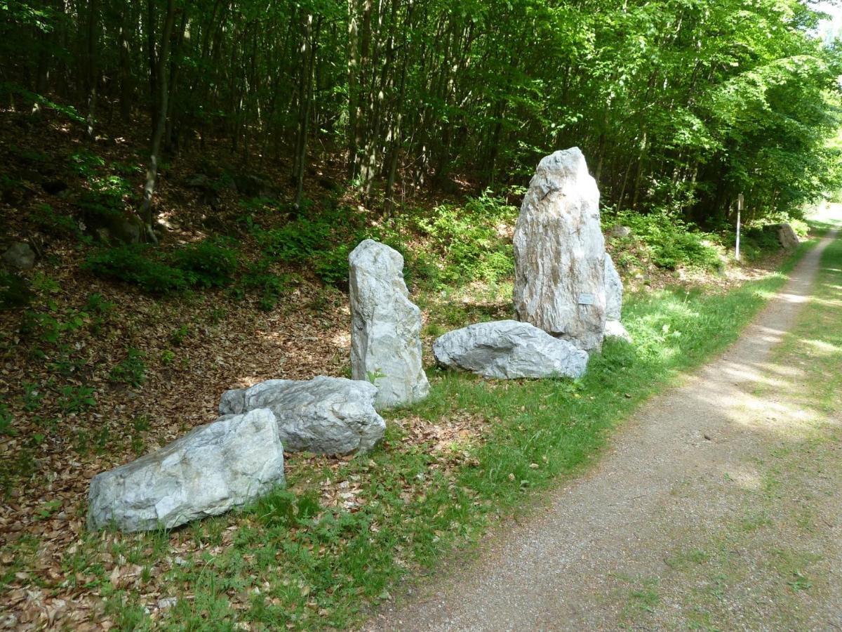 Pension Ferienwohnungen Frey Tännesberg Exteriör bild